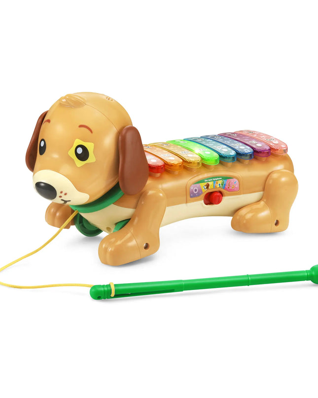 Toy dog with a pull string and xylophone on a white background