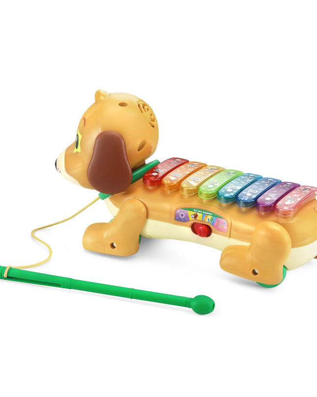 Toy dog with a xylophone on a white background
