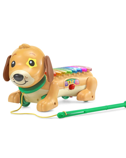 Toy dog with a colorful xylophone on a white background