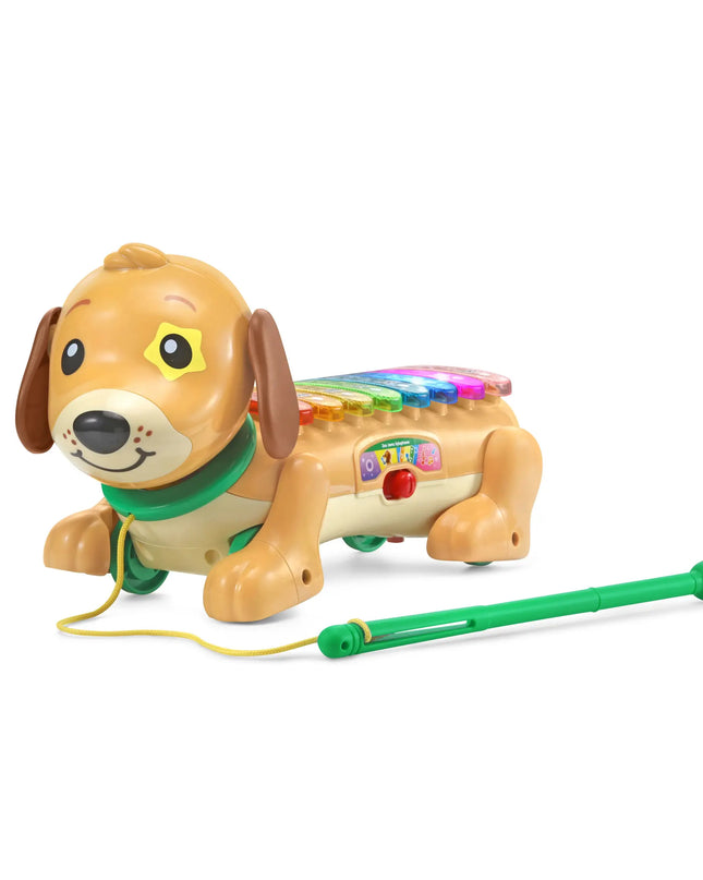 Toy dog with a colorful xylophone on a white background