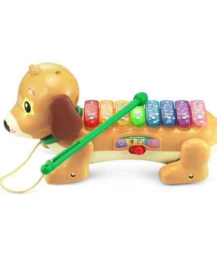 Toy dog with a xylophone on a white background