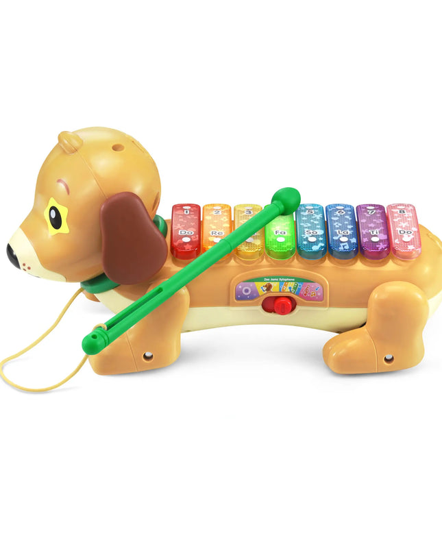 Toy dog with a xylophone on a white background