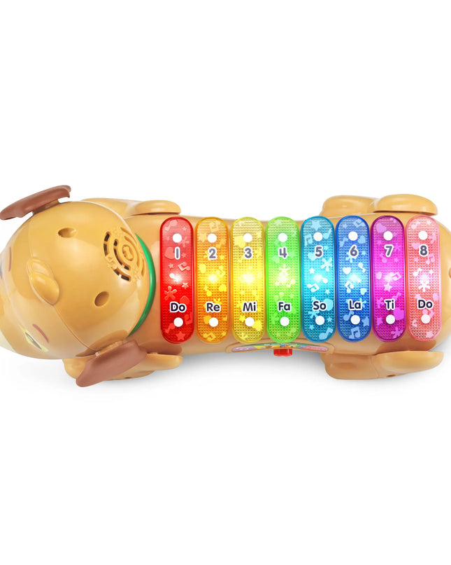 Toy caterpillar with colorful keys on a white background