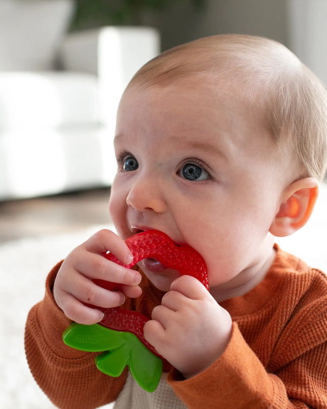 Dr. Brown’s® AquaCool Water-Filled Teether 2‑Pack | Pineapple & Apple